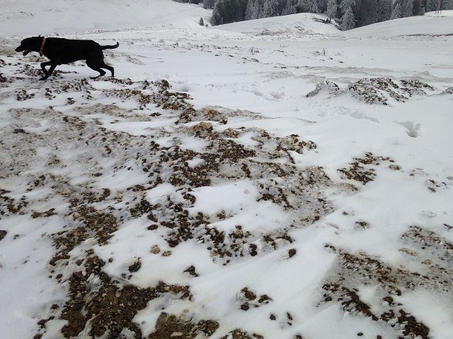 col de Senmoz (26)